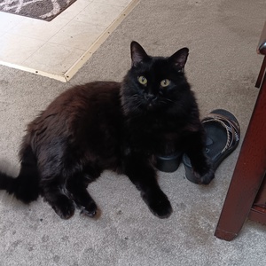 Fundraising Page: Jessica Martin